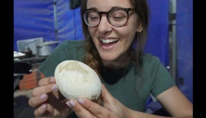 اكتشاف بيضة ديناصور سليمة في الأرجنتين عمرها 70 مليون سنة.. ما التفاصيل؟