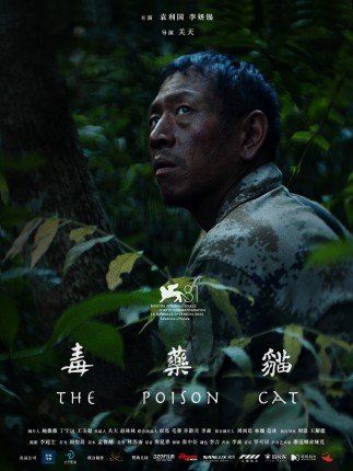 شاهد .. "القطة السامة" المرشح للأوسكار ضمن عروض خاصة لأفلام مهرجان الإسكندرية للفيلم القصير في نقابة الصحفيين