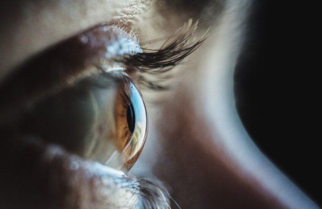 أفضل من الجزر.. أطعمة مذهلة تحمي عينيك من إرهاق الشاشات.. تعرف عليها