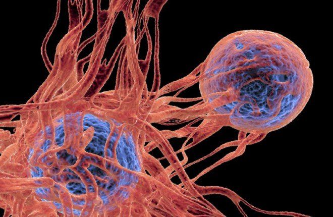 ابتكار دوائي واعد يفتح آفاقاً جديدة لعلاج السرطان بمستويات غير مسبوقة من الفاعلية