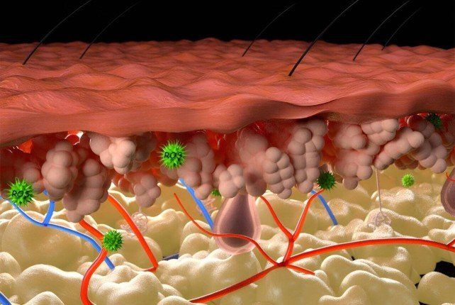 علماء روس يطورون "جسيمات نانوية" لعلاج الجروح المزمنة والحروق الشديدة