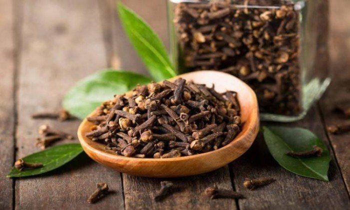 مضغ القرنفل يومياً.. عادة بسيطة بفوائد صحية مذهلة للجسم والمناعة والقلب