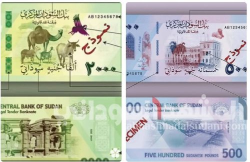 دولة عربية تطلق عملة جديدة وبعد ساعات أنهارت قيمتها أمام الدولار والريال السعودي بشكل مخيف