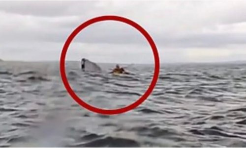 شاهد حوت ضخم أسود اللون يبتلع شاب أمام والده وعندما استقر في أحشائة حدثت المفاجأة!!