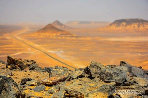 دولة عربية تدخل التاريخ من أوسع أبوابه وتحول صحرائها لإنتاج طاقة تعادل أكثر من مليون ونصف برميل نفط يوميًا