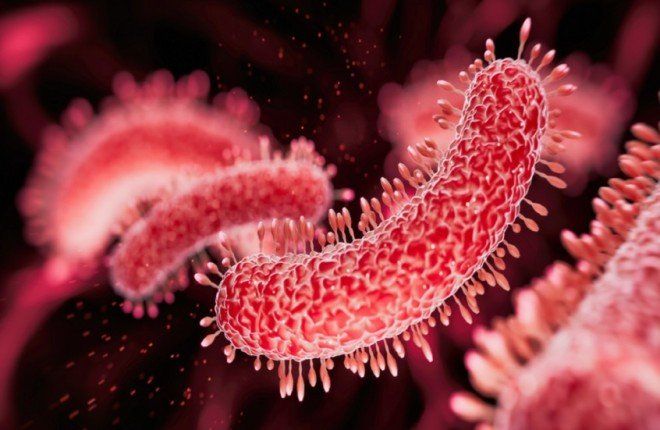 دراسة جديدة تحسم الجدل: ميكروبيوم الأمعاء لا يرتبط بالتوحد