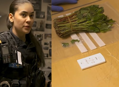 شاهد.. مسافر حاول تهريب كمية كبيرة من القات إلى دولة أوروبية لكن ضباط الجمارك كشفوا حيلته بطريقة ذكية