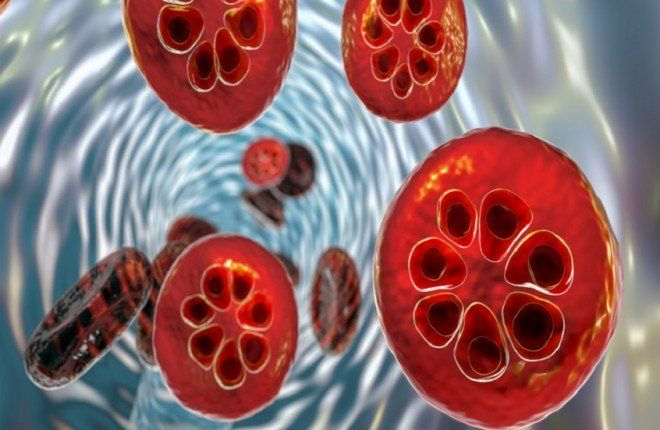 علاج جديد للملاريا يحقق اختراقاً تاريخياً ويواجه مقاومة الطفيلي المتصاعدة