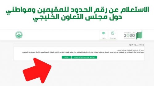 الاستعلام عن رقم الحدود عبر منصة أبشر لمواطني الخليج والزائرين.. خدمة جديدة من الجوازات السعودية