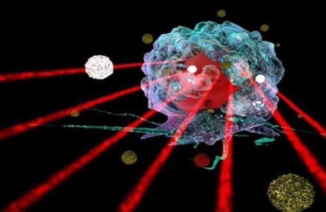الموجات فوق الصوتية عبر الجمجمة قد تعدّل السلوك والمزاج وتفتح آفاقاً لعلاجات جديدة