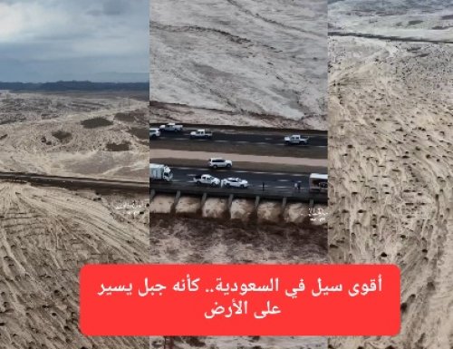 شاهد أقوى سيل في السعودية.. كأنه جبل يسير على الأرض ويدمر كل شيء أمامه