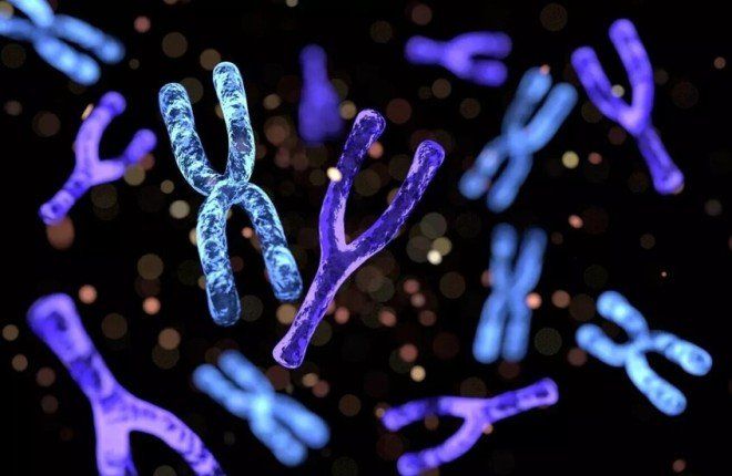 "كروموسوم الذكورة".. بين سيناريو التلاشي والاستقرار التطوري: أين يقف العلم اليوم؟