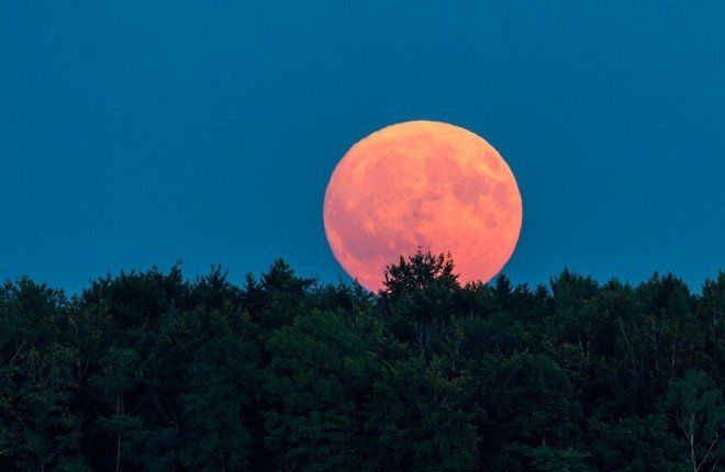 ضمن استراتيجية التفوق الفضائي.. واشنطن تخطط لنشر مفاعل نووي على سطح القمر بحلول 2030