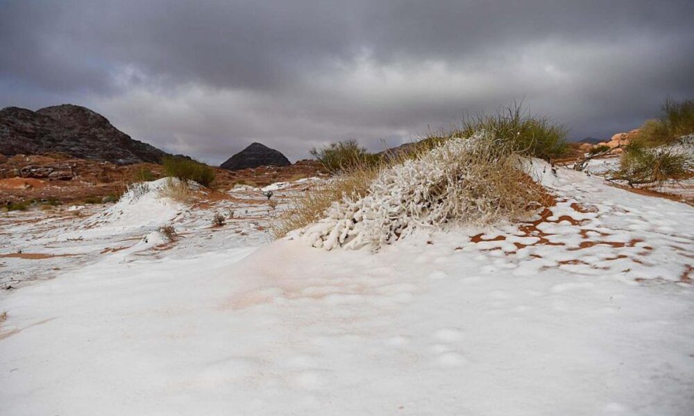تبوك أبرد مدينة في السعودية: درجة حرارة واحدة وموجة صقيع