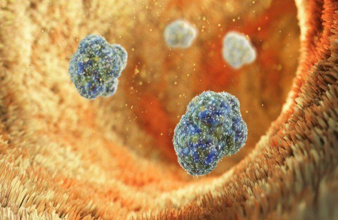 اكتشاف إنزيم جديد يفتح آفاقًا واعدة لعلاج السمنة وخفض الكوليسترول