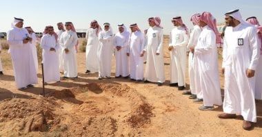 السعودية.. انتشار أكثر من 165 نوعًا من النباتات المحلية الملائمة للتشجير بمنطقة عسير