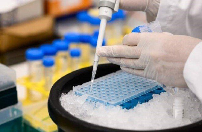 ابتكار روسي يتيح "إضاءة" البكتيريا وكشف أسرار بيئتها الطبيعية