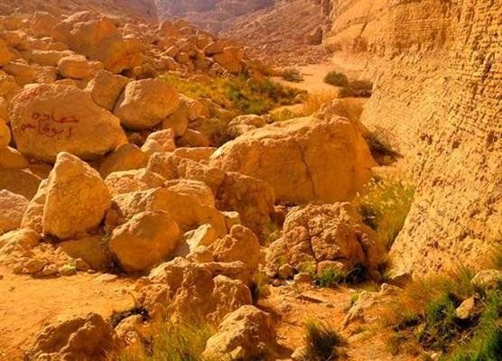 مصر تُعزز حماية التنوع البيولوجي بخطط إستراتيجية وبرامج رصد وحماية شاملة