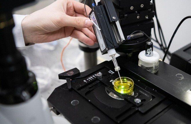 مستشعرات نانوية مدعومة بالذكاء الاصطناعي تكشف سرطان الدماغ بدقة تصل إلى 98%