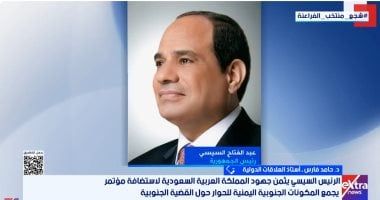 خبير: لقاء الرئيس السيسى ووزير خارجية السعودية يعكس عمق الشراكة الاستراتيجية