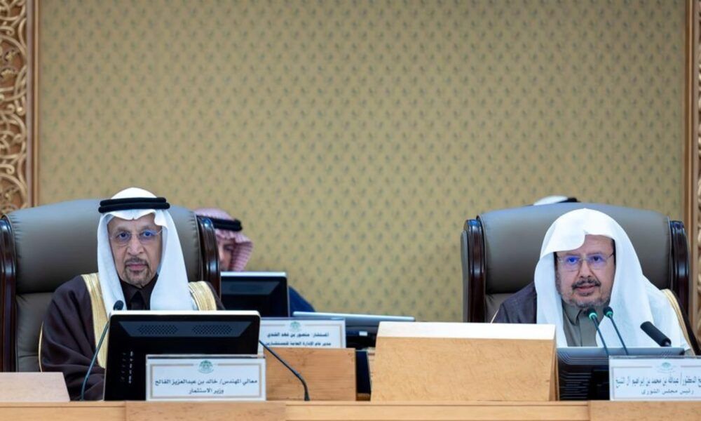 نمو التراخيص الاستثمارية في السعودية 10 أضعاف برؤية 2030