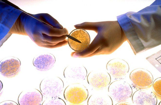 ابتكار ألماني يحوّل النفايات العضوية إلى بلاستيك قابل للتحلل الحيوي