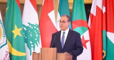 وزير الخارجية يتوجه لجدة للمشاركة فى دورة استثنائية لمنظمة التعاون الإسلامى