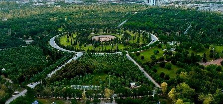 مصر تكثف جهودها لتعزيز النقل المستدام وإدخال الحافلات الكهربائية.. التفاصيل الكاملة