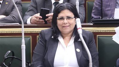 شاهد .. تحديد 31 يناير موعدًا جديدًا لمحاكمة برلمانية سابقة بتهمة القتل الخطأ