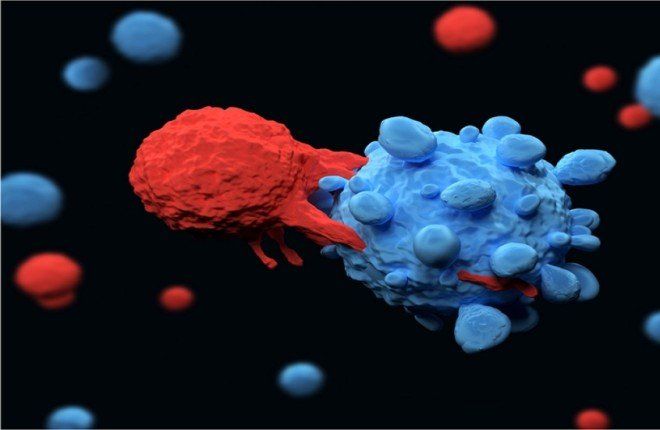 علماء كنديون يبتكرون طريقة لتوسيع العلاج الخلوي للسرطان وجعله متاحاً للجميع