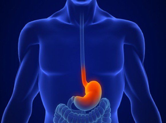 دراسة: العلاج الكيميائي يعزز دور ميكروبات الأمعاء في مكافحة انتشار الأورام الثانوية