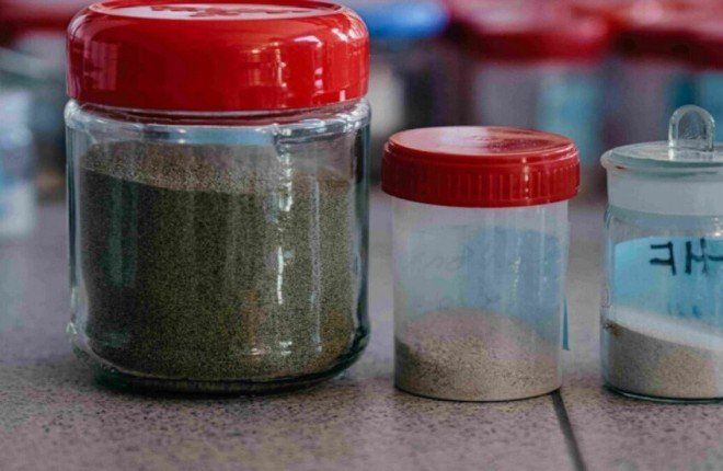 علماء يطورون مواد ماصة صديقة للبيئة لتنقية مياه الصرف بكفاءة عالية