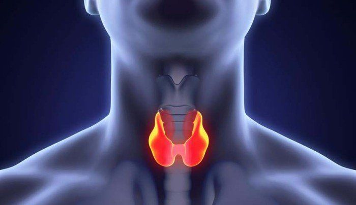 سرطان الغدة الدرقية.. تشخيص مبكر ونسب شفاء مرتفعة و7 عوامل تزيد خطر الإصابة