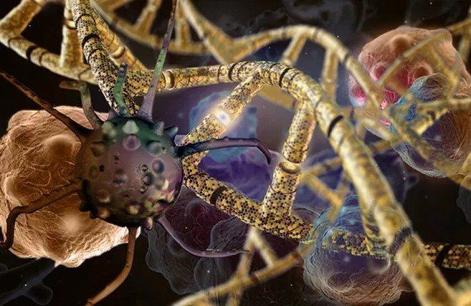 عندما خذلها الدليل القاطع.. قصة أم كذّبها الحمض النووي وكشف لغزًا طبيًا نادرًا