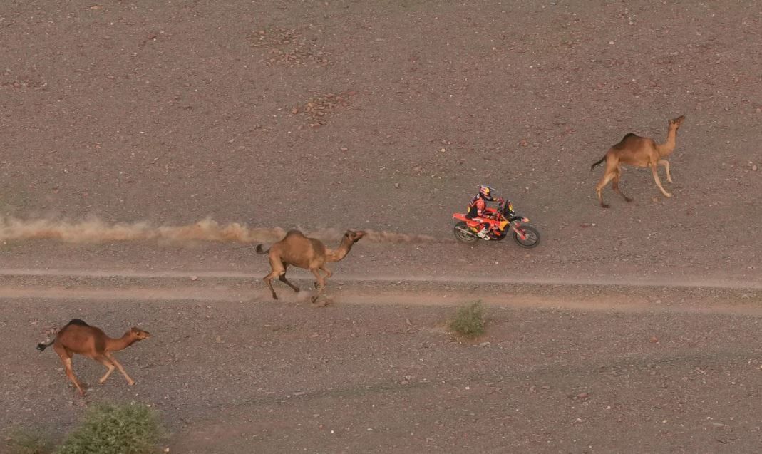 مغامرات فى صحراء وعرة.. فعاليات رالى دكار على تضاريس جبال السعودية