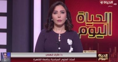 أستاذ علوم سياسية: القمة المصرية الإماراتية تعزز الأمن القومي العربي