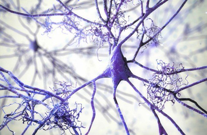 اكتشاف واعد.. دواء صرع معتمد يوقف مسار ألزهايمر قبل ظهور الأعراض