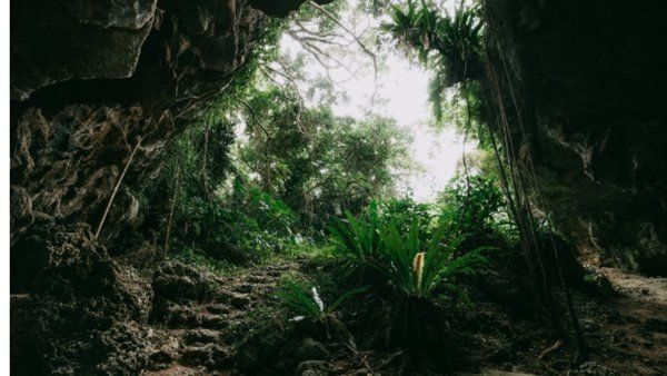 علماء يكتشفون سجلا للحياة عمره مليون عام في نيوزيلندا