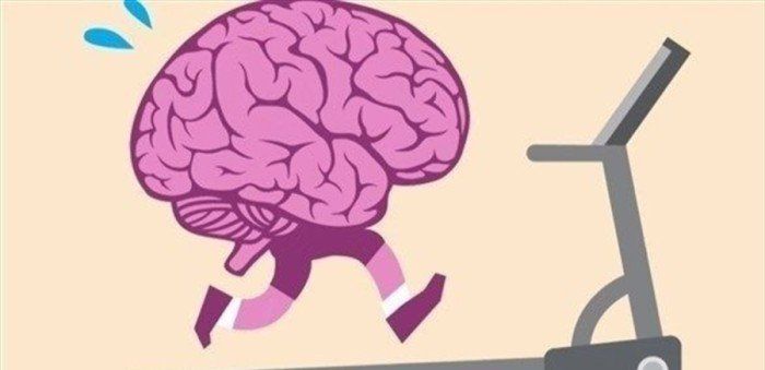 دراسة حديثة تربط بين تحسين قدرة العضلات على التحمل ونشاط خلايا الدماغ