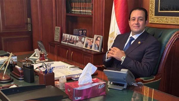 شاهد .. مصر تضرب بيد من حديد: أحكام قاسية لمختطفي رجل الأعمال القطري