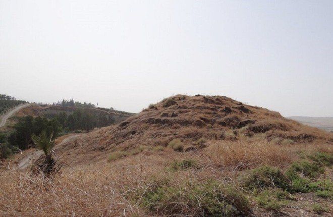 تحتضنه دولة عربية.. أقدم اتفرج على وجود الإنسان خارج إفريقيا يعود إلى 1.9 مليون سنة