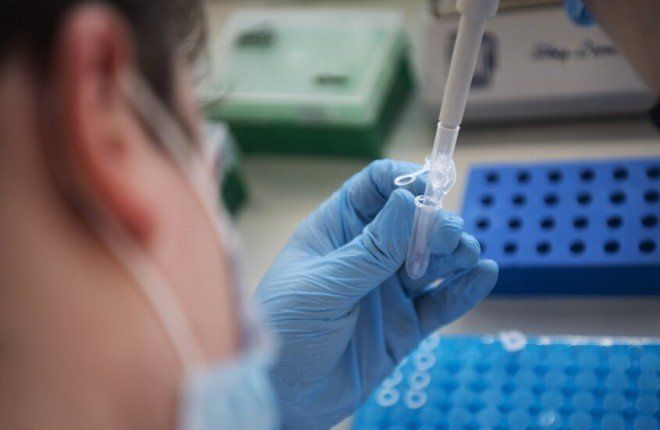 روسيا تطور لقاحات جديدة للوقاية من حساسية حبوب اللقاح