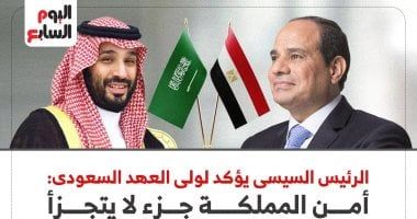 الرئيس السيسى يؤكد لولى العهد السعودى: أمن المملكة جزء لا يتجزأ من الأمن القومي العربي..انفوجراف