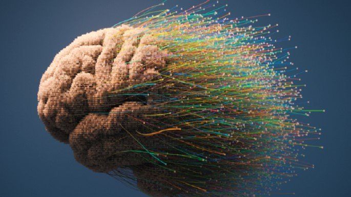 دراسات حديثة: نمط الحياة الصحي يعزز مرونة الدماغ ويقلل خطر التدهور العقلي