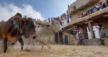 "المدانة التراثية" تستحضر موروث الآباء والأجداد شمال عسير فى السعودية