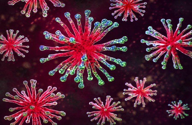 انتشار فيروس تنفسي بلا لقاح في ولاية كاليفورنيا الأمريكية يرفع مستوى اليقظة الصحية