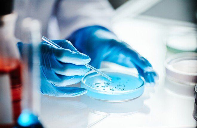 اكتشاف علمي يربط خلايا مناعية في الدماغ بتنظيم البلوغ والخصوبة ويفتح آفاقًا جديدة لعلاج العقم