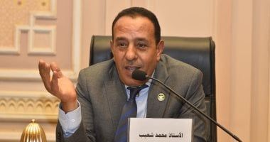 النائب محمد شعيب: تحركات الرئيس السيسي صمام أمان لاستقرار المنطقة