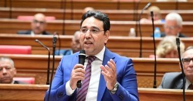 النائب أيمن محسب: مصر حريصة على إحياء مفهوم الأمن القومي العربي في مواجهة التحديات المتصاعدة