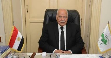 الحزب العربى الناصرى: وحدة الصف العربي خط أحمر.. والسوشيال ميديا ساحة للوقيعة